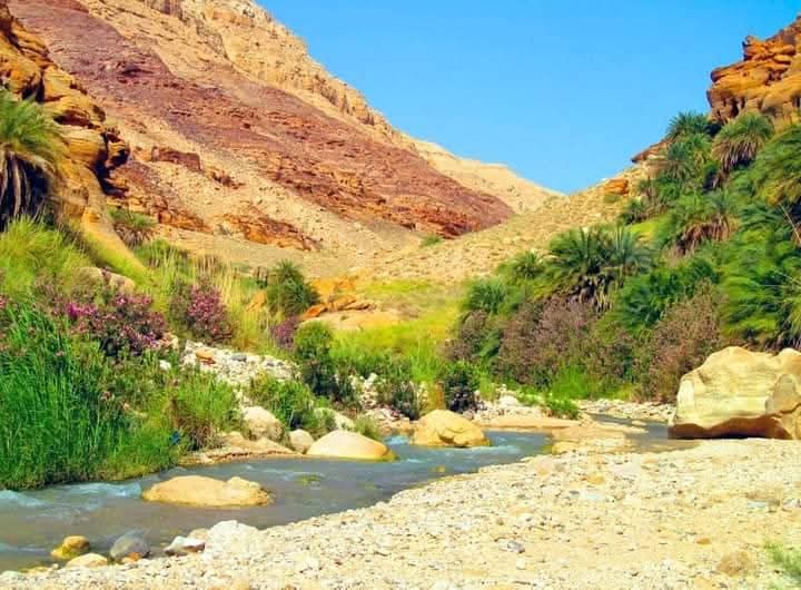 الحسا : الروض الصحراوي المعطر