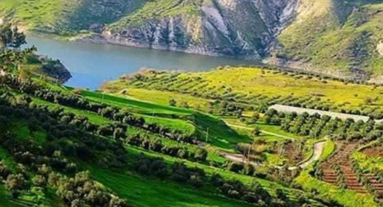 زراعة الأغوار الشمالية تدعو لتنظيم الري لمواجهة موجة الحر المتوقعة