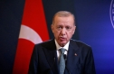أردوغان: مفاوضات إسطنبول فرصة تاريخية لتحقيق السلام بين روسيا وأوكرانيا