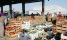 4565 طنا من الخضار والفواكه ترد للسوق المركزي اليوم