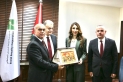 الضمان: نسخّر إمكاناتنا وخبراتنا التأمينية والفنية أمام الأشقاء الفلسطينيين