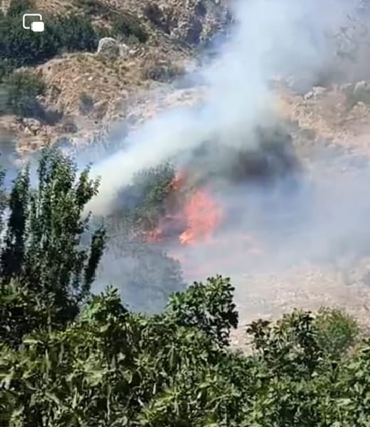عجلون...حريق يأتي على 15 دونما مزروعة بالأشجار الحرجية والمثمرة في دير مسمار