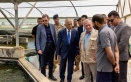 الملك يزور مشروع استزراع سمكي في الجفر