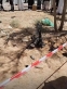 الأمن: إصابة طفلة وتضرر 3 منازل إثر سقوط مسيّرة في الأزرق (صور)