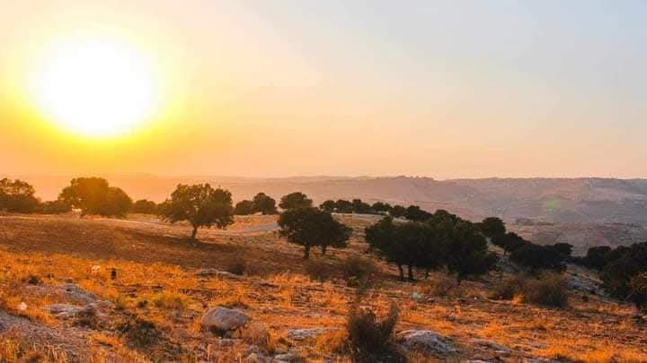 كتلة حارة تؤثر على المملكة اليوم وغدا
