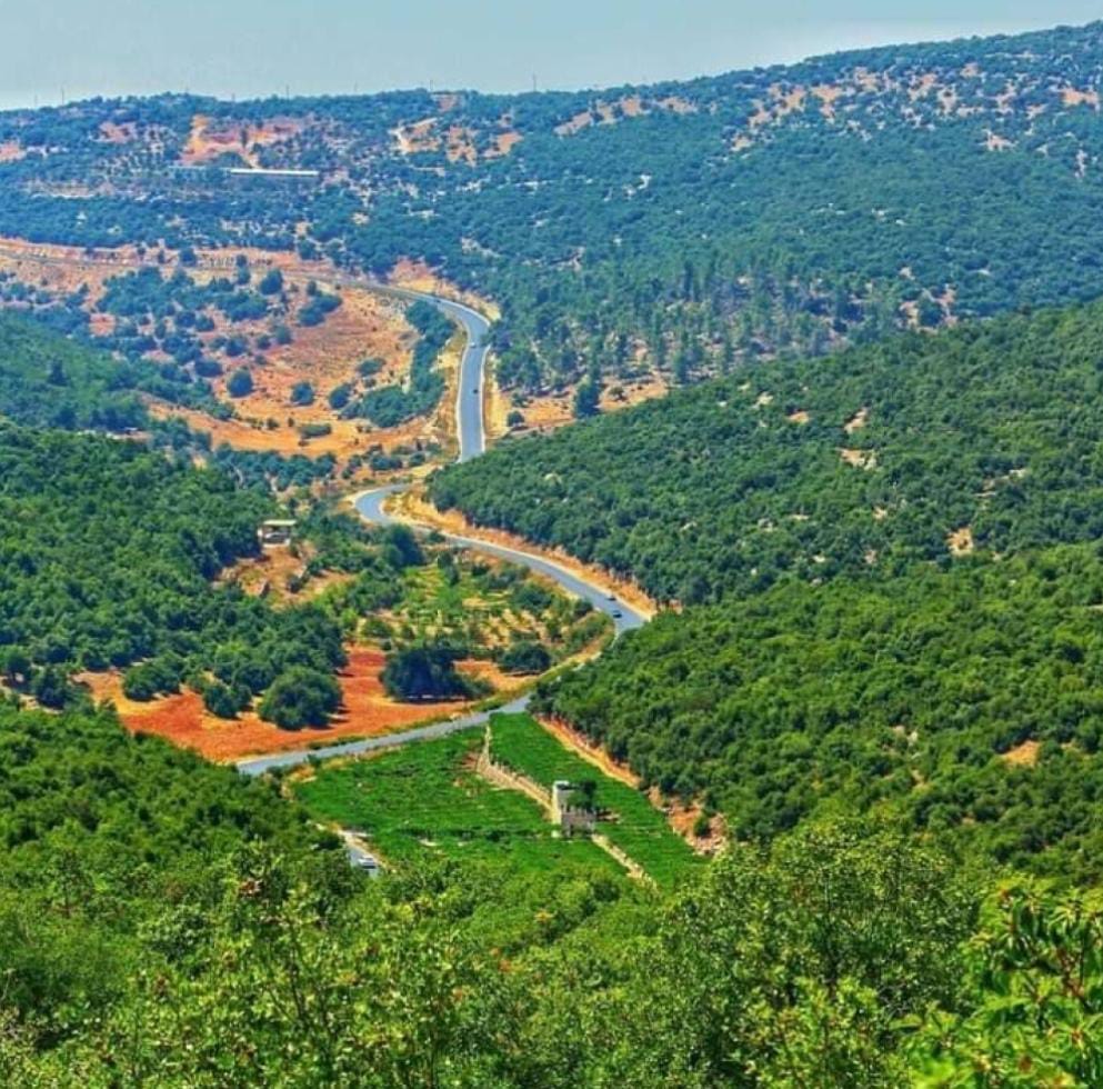 أجواء صيفية معتدلة في اغلب المناطق اليوم وغدًا
