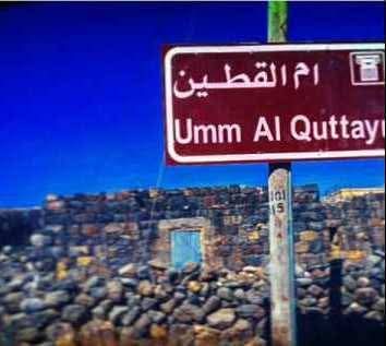 ام القطين ... سوسنة البادية