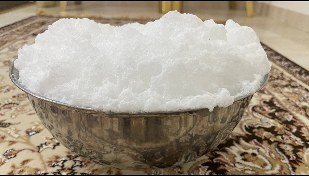 حليب الإبل.. كنز غذائي يثير اهتمام الباحثين ويعزز صحة مرضى السكري