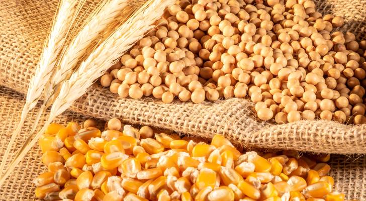 تراجع أسعار السلع الزراعية عالميًا صباح الإثنين