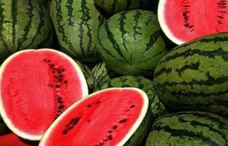 مكافحة الأوبئة للاردنيين: الفيروس المعوي المنتشر مؤخرا لا علاقة له بالبطيخ