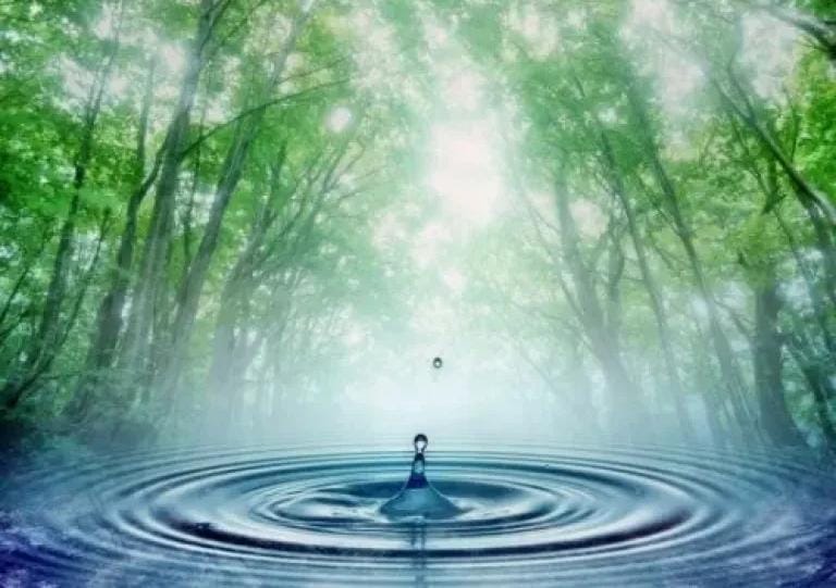 نصف آية تلخص أسرار الماء في جسد الإنسان… إعجاز علمي لا ينضب