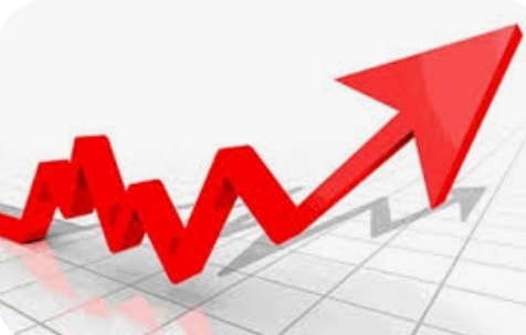 11  نسبة ارتفاع أسعار المنتجين الزراعيين خلال 5 أشهر