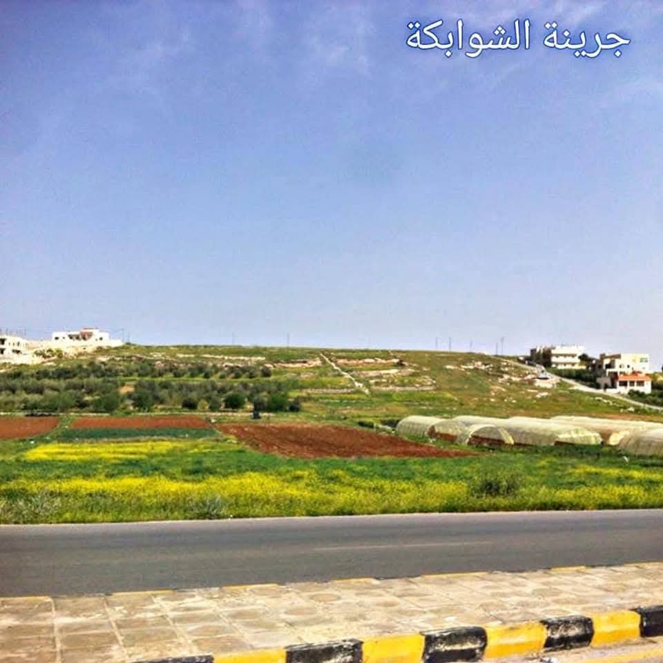 جرينة   جنينة  مأدبا الريّانة بالحب والحقول