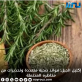 إكليل الجبل: فوائد صحية متعددة وتحذيرات من مخاطره المحتملة