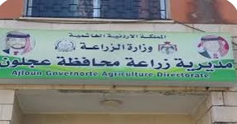 عجلون: 85 ألف دينار لتبطين وصيانة قنوات الري في كفرنجة وراجب