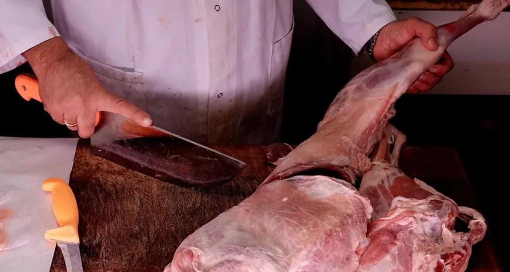 “حمير على المائدة”.. مطعم عراقي يثير الجدل بتقديم لحوم الحمير علنًا!