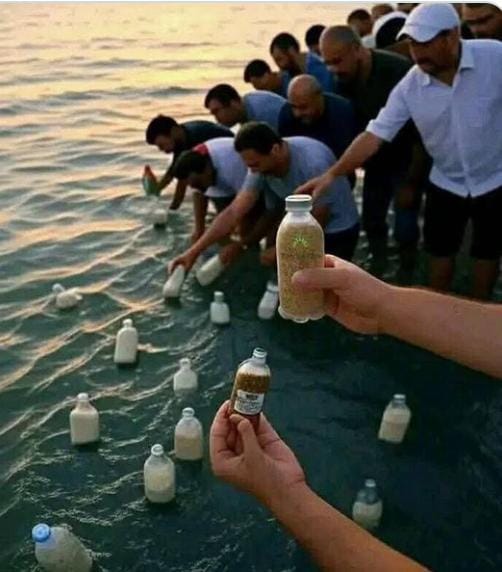 هل وصلت عبوات طعام من شواطئ مصر إلى غزة؟
