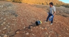 ذعر يجتاح درنة شرق ليبيا بعد إطلاق أفاعي الكوبرا في وادي الناقة