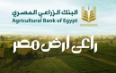  مش بس زراعي... لكن مش لكل المصريين؟! عندما يُفشل موظفٌ واحد سنواتٍ من البناء في لحظة جهل!