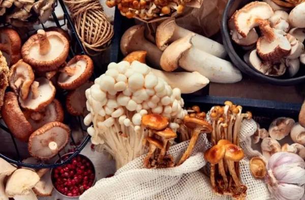 5 أطعمة نباتية تعزز مستويات فيتامين D