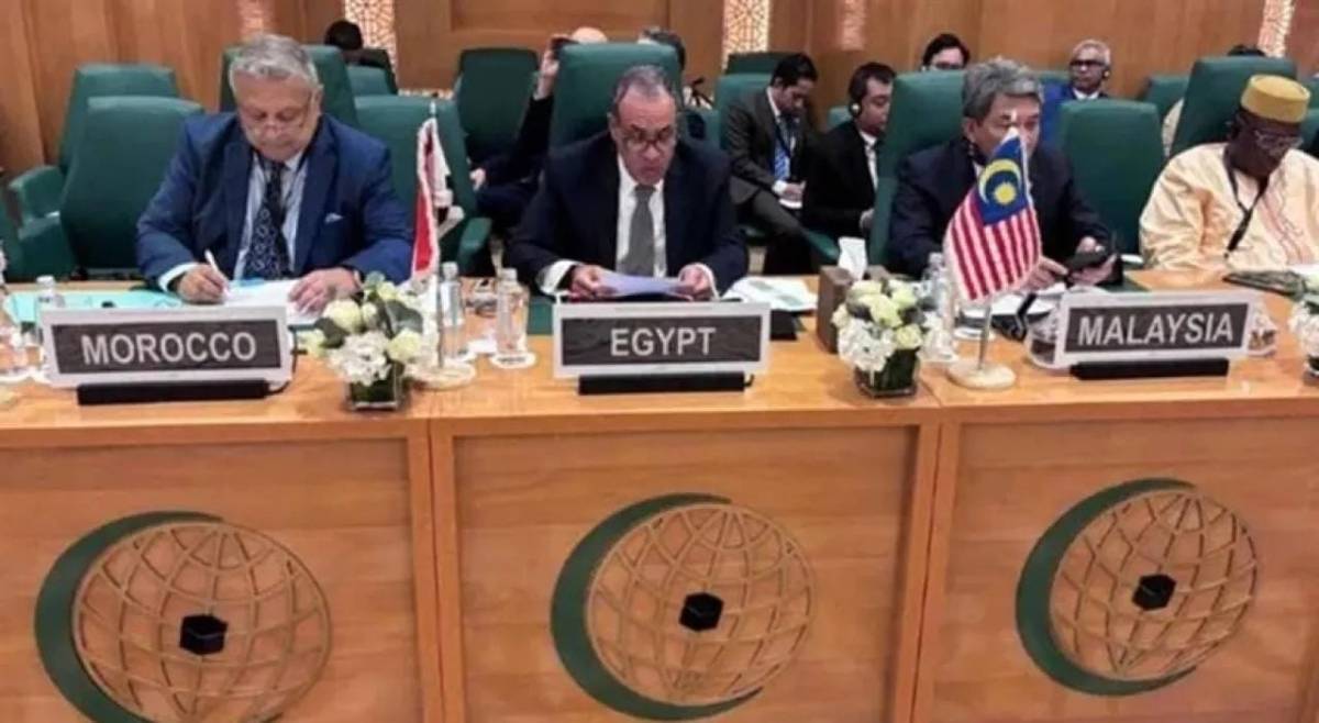 وزير الخارجية المصري : لن نسمح بتنفيذ مشروع (إسرائيل الكبرى )