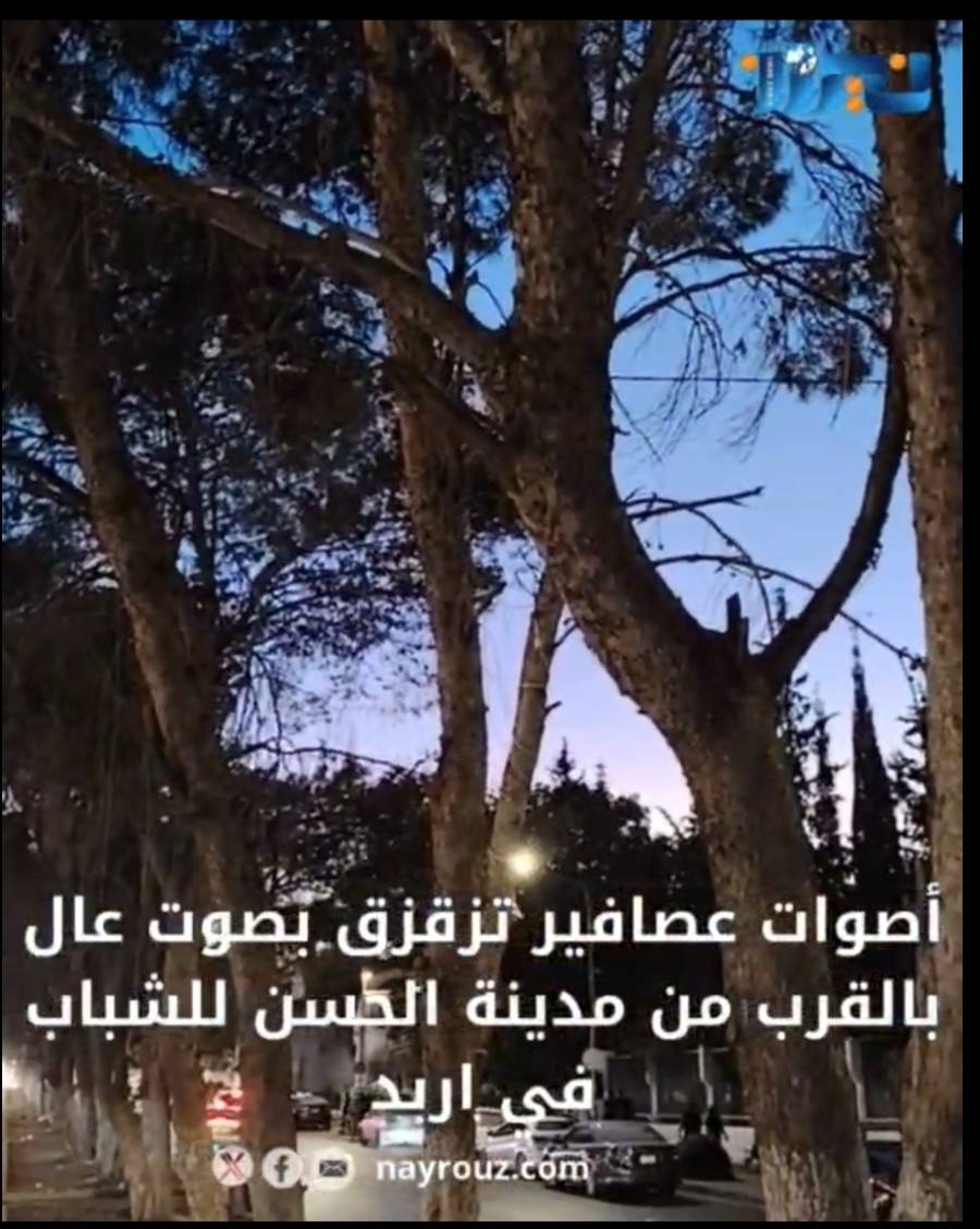 بالفيديو.. أصوات عصافير تزقزق بصوت عال بالقرب من مدينة الحسن للشباب في اربد