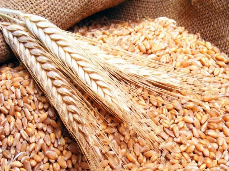 رفع سعر بيع طن دقيق القمح الموحد بنحو 59 قرشاً