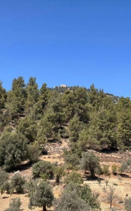 عجلون: مطالب بسرعة إنجاز أعمال التوسعة والتأهيل لطريق وادي الطواحين