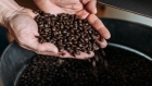 ارتفاع سعر بن أرابيكا عالميا