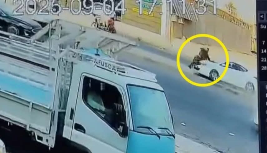 عراقية تدهس شرطياً وتحطم ثلاث مركبات في ديالى