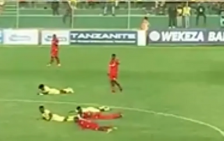 توقف مباراة في تنزانيا بسبب هجوم ضخم من النحل