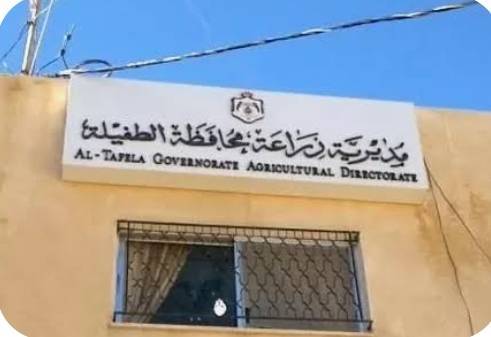زراعة الطفيلة تنظم دورة لتمكين المرأة اقتصاديا