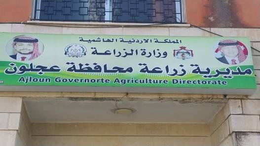 مديرية زراعة عجلون تباشر بمكافحة حشرة النمل الأبيض في منطقة راجب