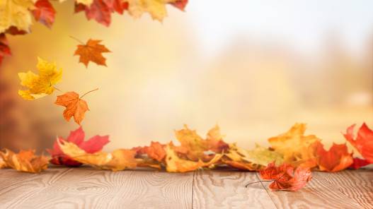 الخريف يبدأ الاثنين.. تساوي الليل والنهار وطقس متقلب في المملكة