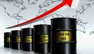 ارتفاع أسعار الذهب واستقرار النفط عالميا