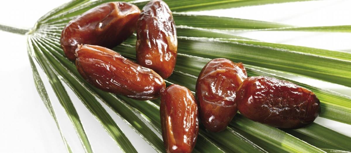 التمر.. الغذاء الكامل وفوائده الصحية المذهلة