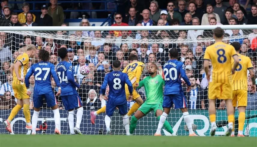تشيلسي يسقط بالثلاثة أمام برايتون