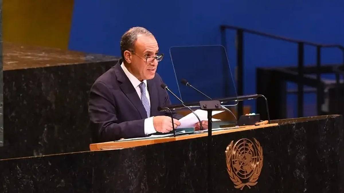 وزير خارجية مصر: لن نكون بوابة لتهجير الفلسطينيين