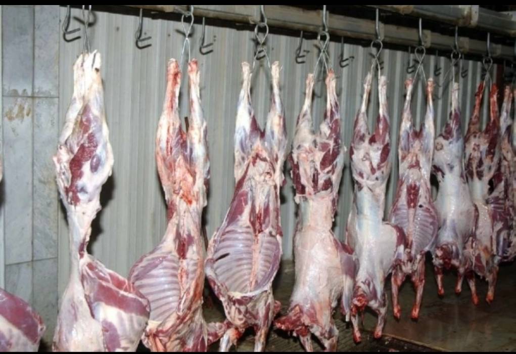 انخفاض أسعار اللحوم البلدية والمستوردة