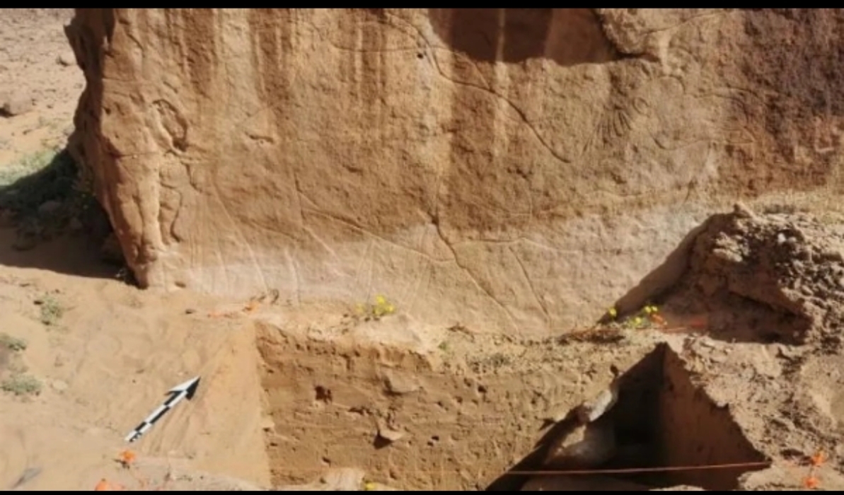 تفاصيل اكتشاف نقوش صخرية عمرها 12 ألف عام بالسعودية  صور