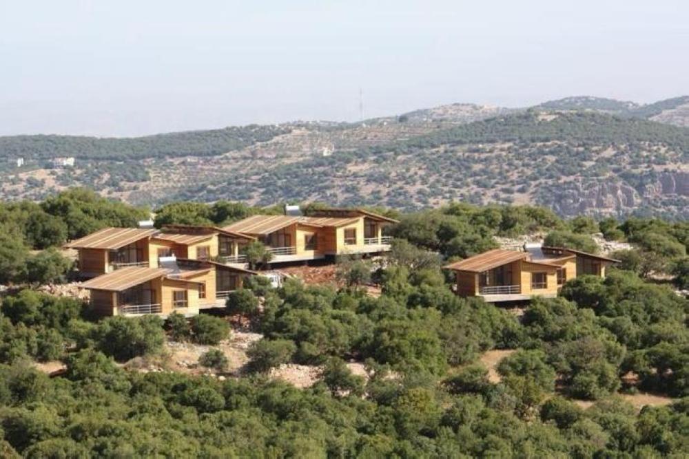 محمية غابات عجلون تستقطب 143 ألف زائر منذ بداية 2025