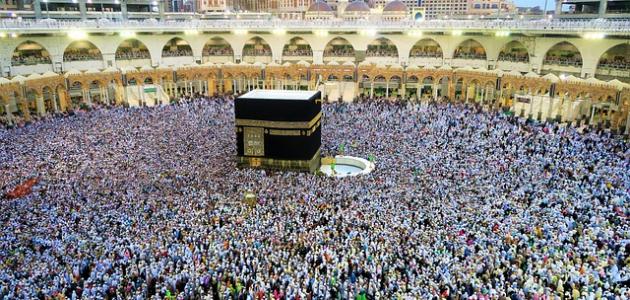 بدء التسجيل الإلكتروني للحج للأردنيين وأبناء غزة .. تفاصيل
