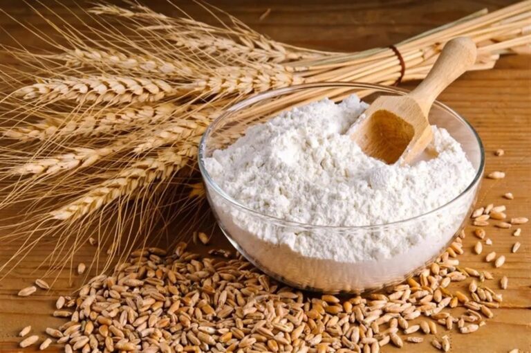 تخفيض سعر بيع طن دقيق القمح للشهر الحالي