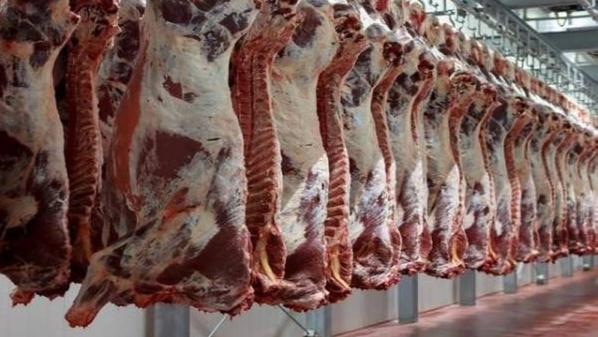 وزير الزراعة: توازن بين التصدير والاستهلاك المحلي للمحافظة على استقرار أسعار اللحوم