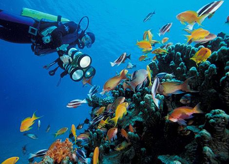 كنز العقبة الأزرق… على أعتاب التراث العالمي