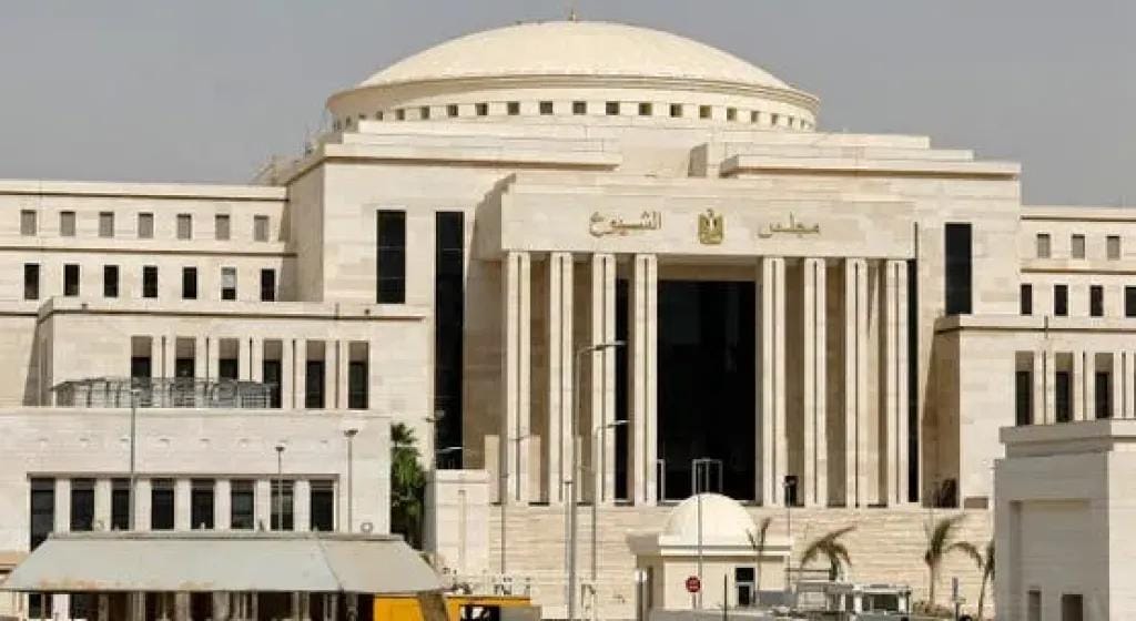 تعيينات مجلس الشيوخ 2025.. الرئيس السيسي يختار 100 شخصية بارزة تضم رموزًا سياسية ودينية و15 سيدة