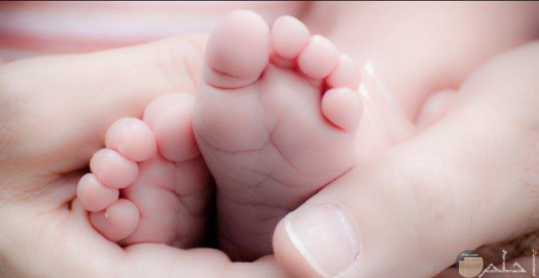 بعد ثمانية عشر عامًا... فجاءت مسك وسيلا زهرَتين تُضيئان حياتنا