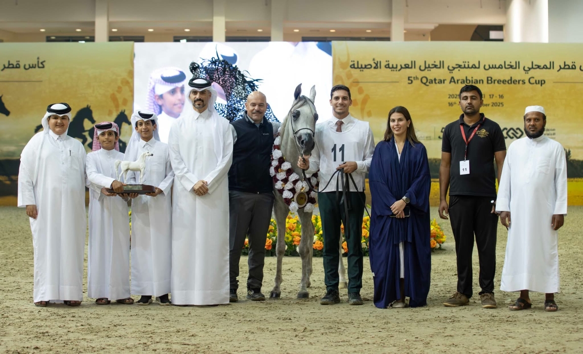 اختتام بطولة كأس قطر المحلي الخامس لمنتجي الخيل العربية الأصيلة