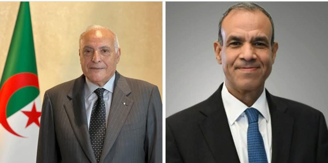 وزيرا الخارجية المصري والجزائري يبحثان تعزيز التعاون بين البلدين والقضايا الإقليمية