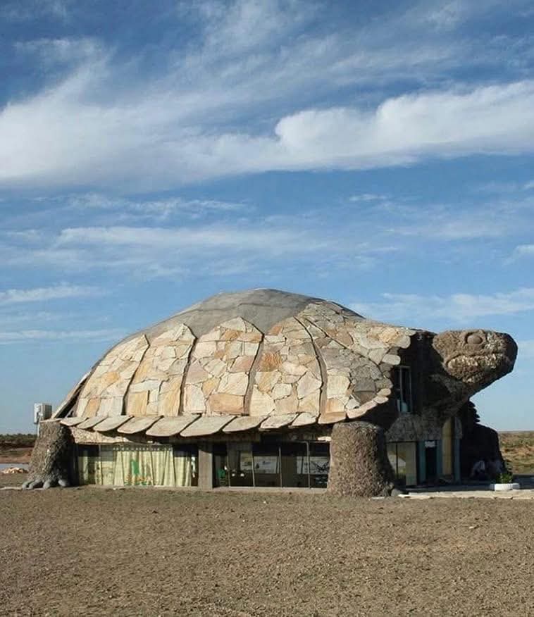 مبنى على شكل سلحفاة عملاقة يزدان في صحراء جوبي